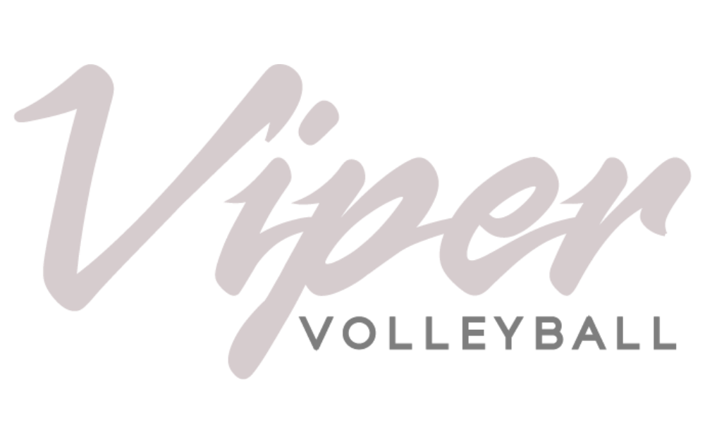Viper Volleyball